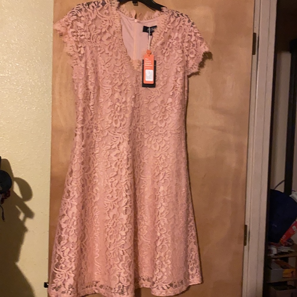 Blush Lace Dress